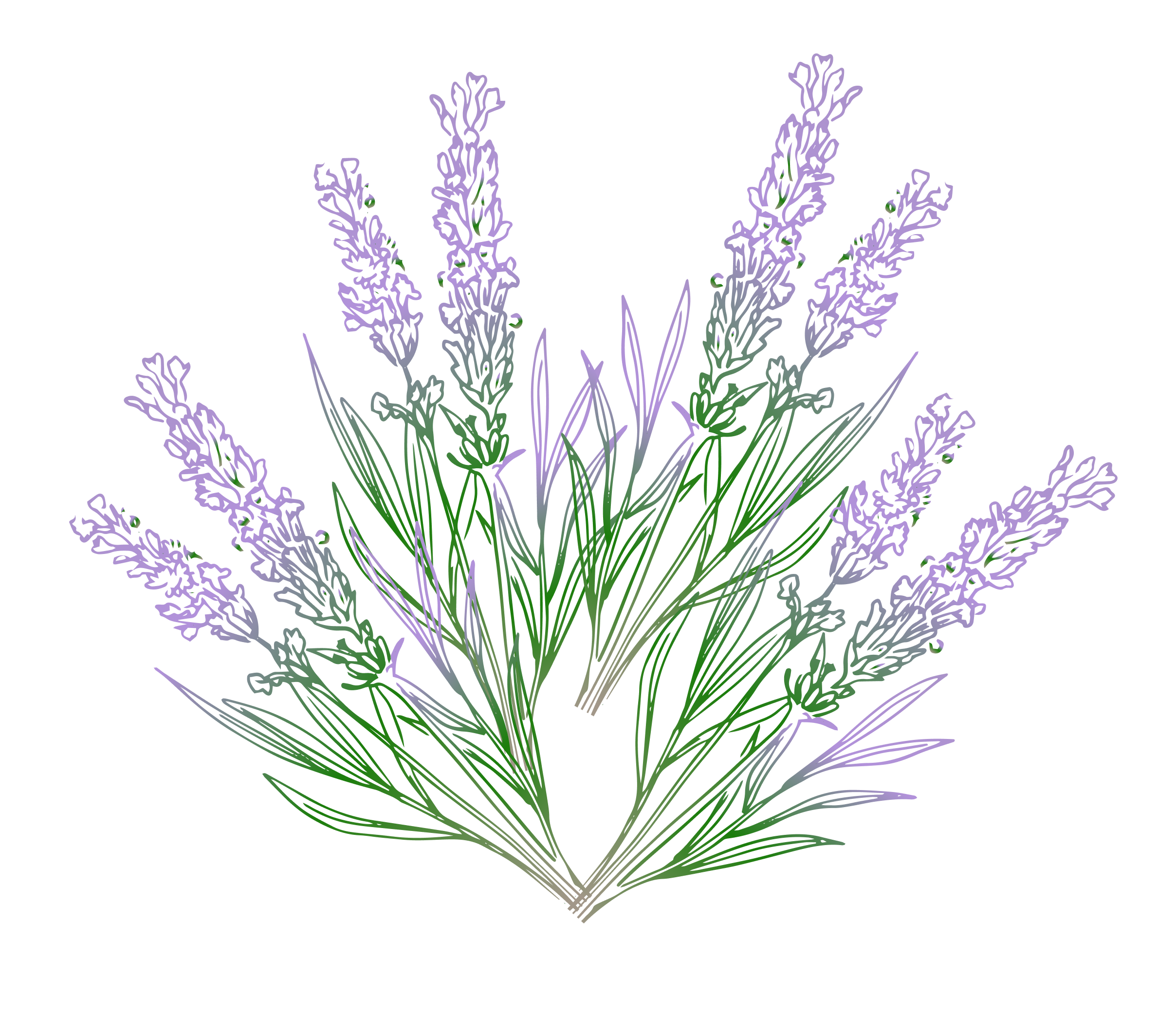 scent