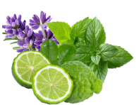 scent
